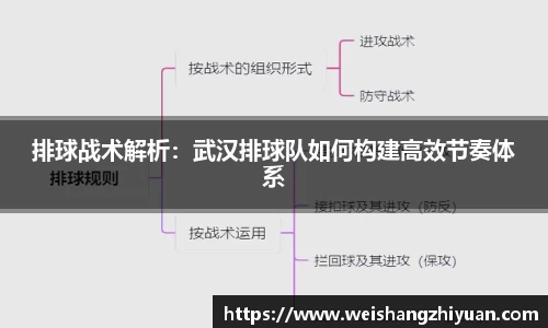 6686体育官网
